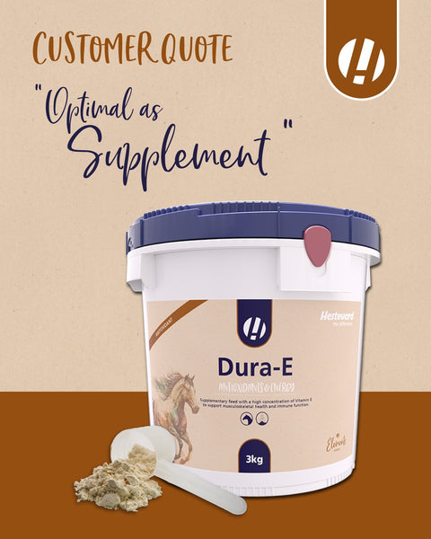 Dura - E - Hestevard UK