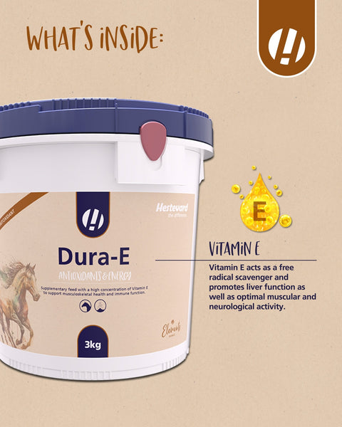 Dura - E - Hestevard UK