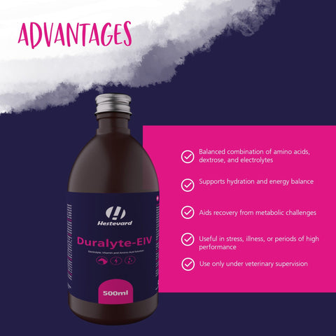 Duralyte EIV 500ml - Hestevard UK