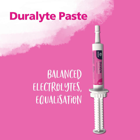 Duralyte Paste - Hestevard UK