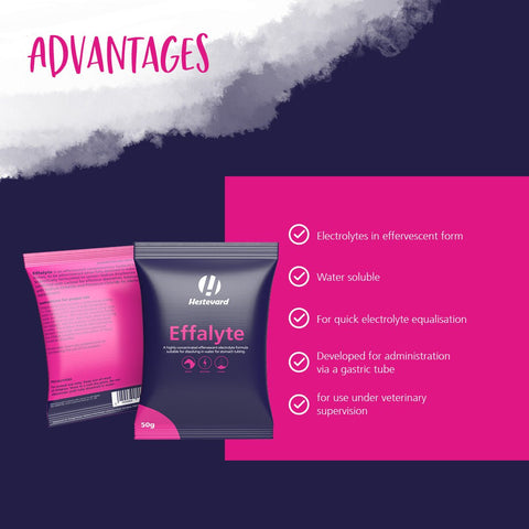 Effalyte - Hestevard UK