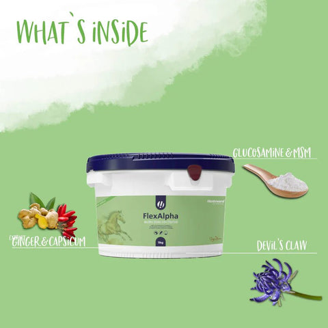 FlexAlpha Powder - Hestevard UK