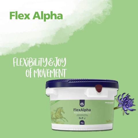 FlexAlpha Powder - Hestevard UK