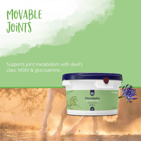 FlexAlpha Powder - Hestevard UK
