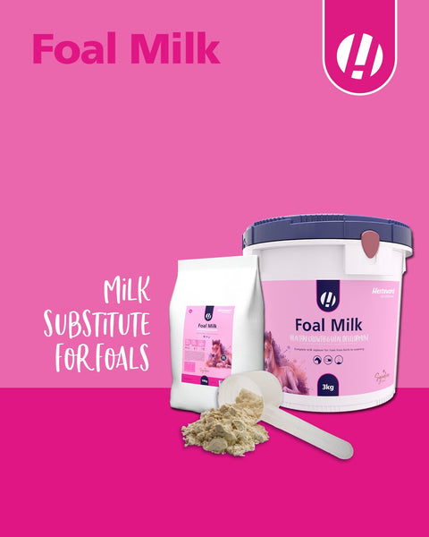 Foal Milk Powder - Hestevard UK