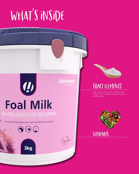 Foal Milk Powder - Hestevard UK