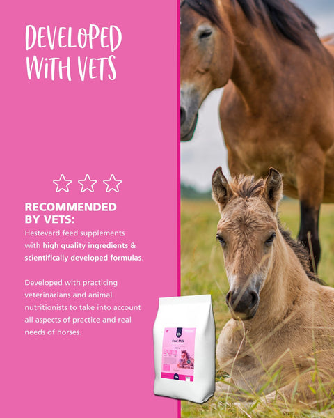 Foal Milk Powder - Hestevard UK