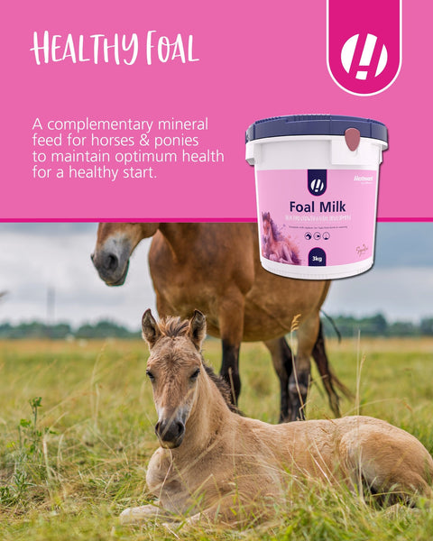 Foal Milk Powder - Hestevard UK