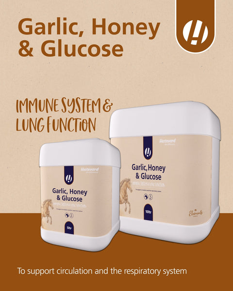 Garlic Honey & Glucose - Hestevard UK