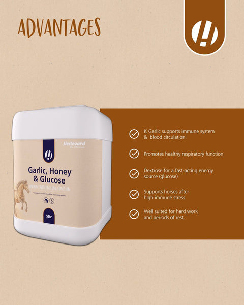 Garlic Honey & Glucose - Hestevard UK