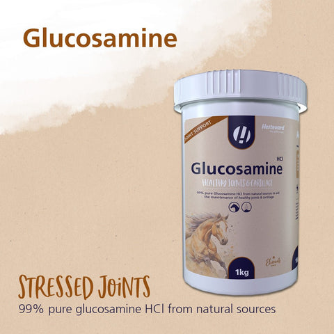 Glucosamine HCI - Hestevard UK