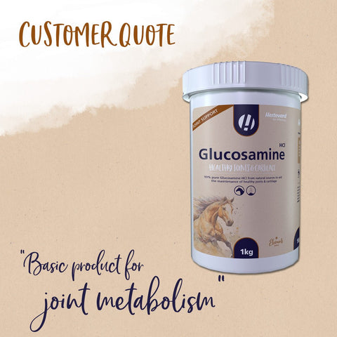 Glucosamine HCI - Hestevard UK