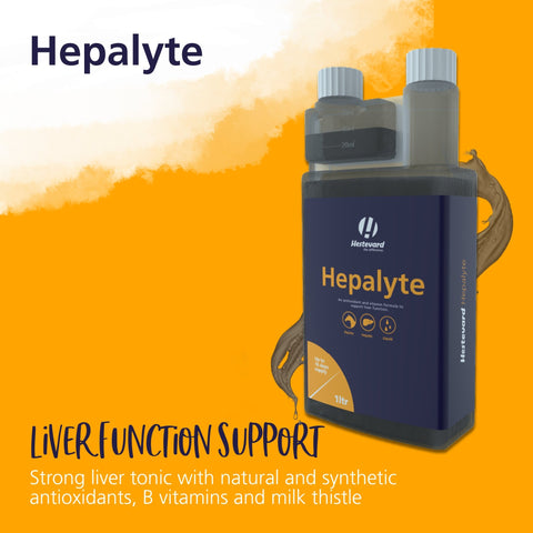 Hepalyte - Hestevard UK