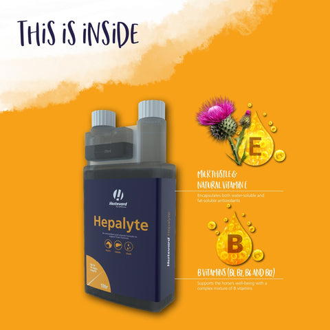 Hepalyte - Hestevard UK