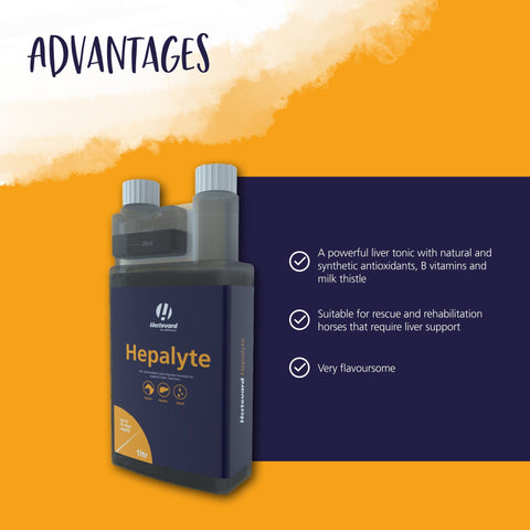Hepalyte - Hestevard UK