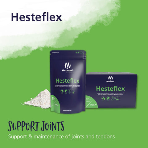 Hesteflex - Hestevard UK
