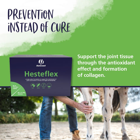 Hesteflex - Hestevard UK