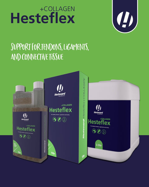 Hesteflex +Collagen 1ltr - Hestevard UK