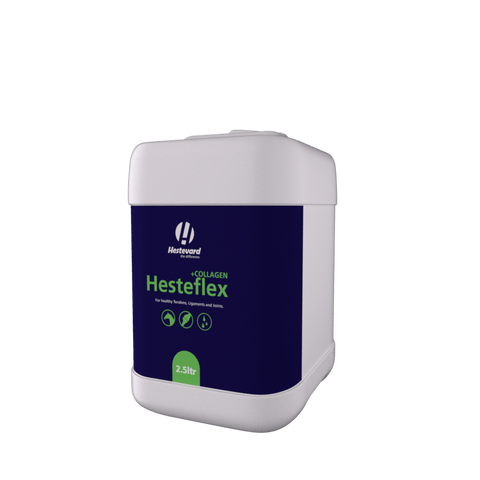 Hesteflex +Collagen 1ltr - Hestevard UK