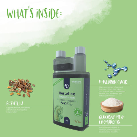 Hesteflex Liquid - Hestevard UK