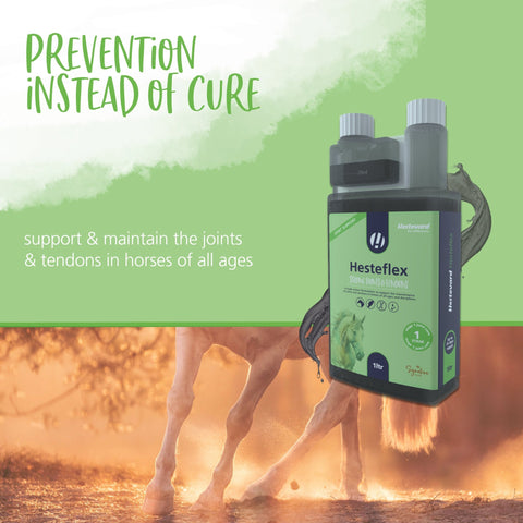 Hesteflex Liquid - Hestevard UK