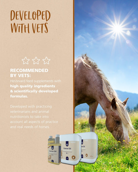 Hestevard Carron Oil - Hestevard UK
