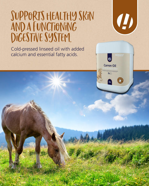 Hestevard Carron Oil - Hestevard UK