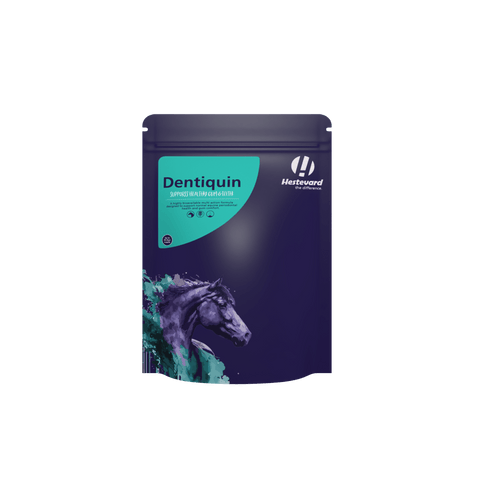 Hestevard Dentiquin - Hestevard UK