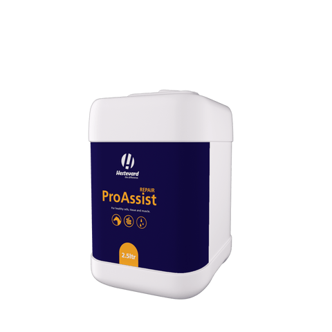 Hestevard ProAssist Repair - Hestevard UK