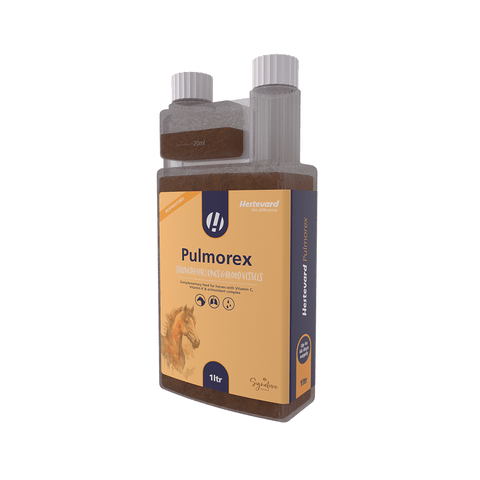 Hestevard Pulmorex - Hestevard UK