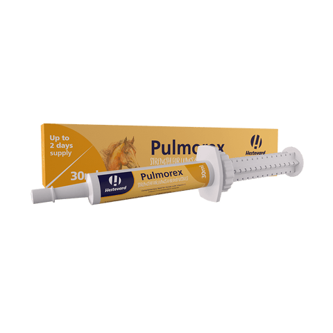 Hestevard Pulmorex Paste 30ml - Hestevard UK