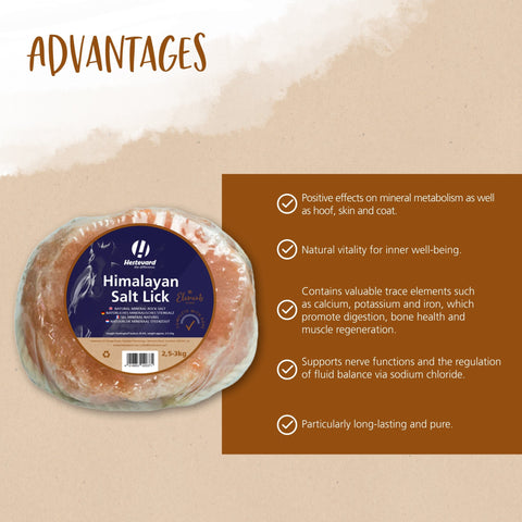 Himalayan Salt Lick - Hestevard UK