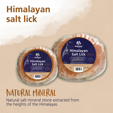 Himalayan Salt Lick - Hestevard UK