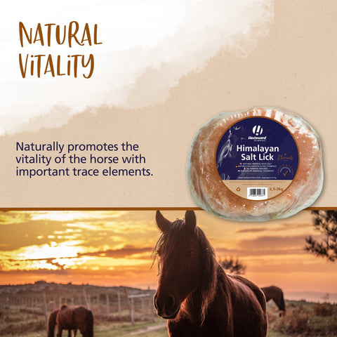 Himalayan Salt Lick - Hestevard UK