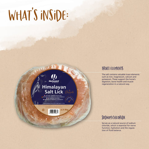 Himalayan Salt Lick - Hestevard UK