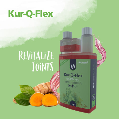 Kur - Q - Flex - Hestevard UK
