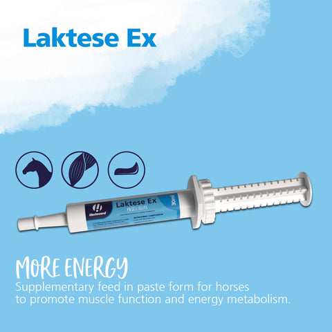 Laktese Ex Oral Syringe - Hestevard UK