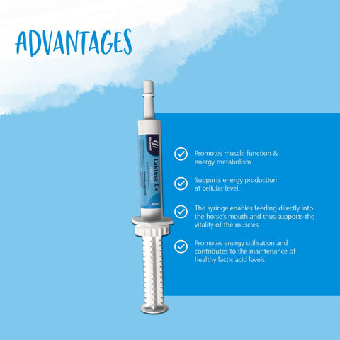 Laktese Ex Oral Syringe - Hestevard UK