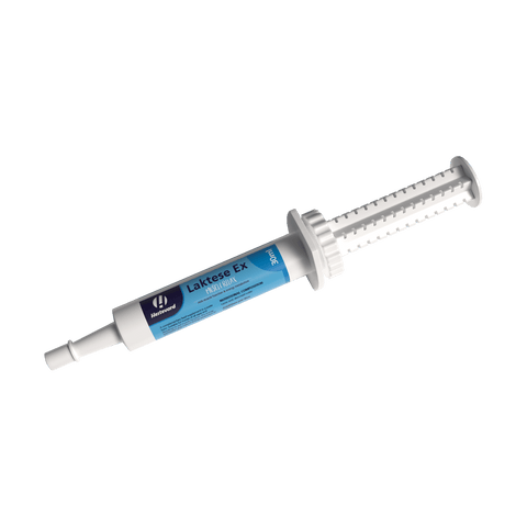 Laktese Ex Oral Syringe - Hestevard UK