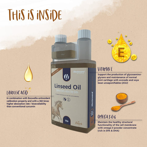 Linseed Oil - Hestevard UK