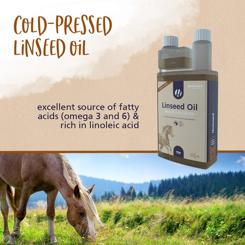 Linseed Oil - Hestevard UK