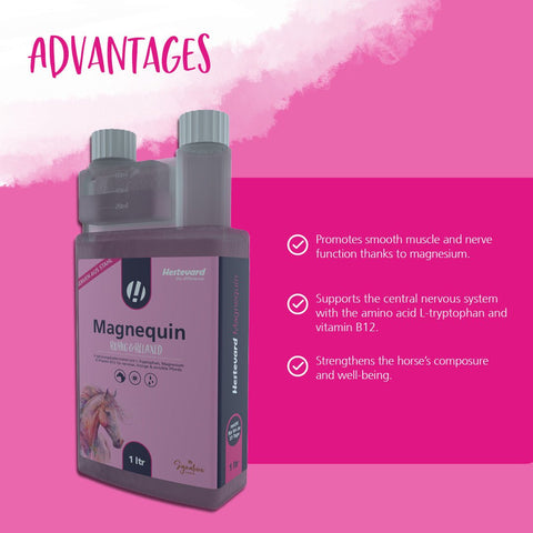 Magnequin - Hestevard UK