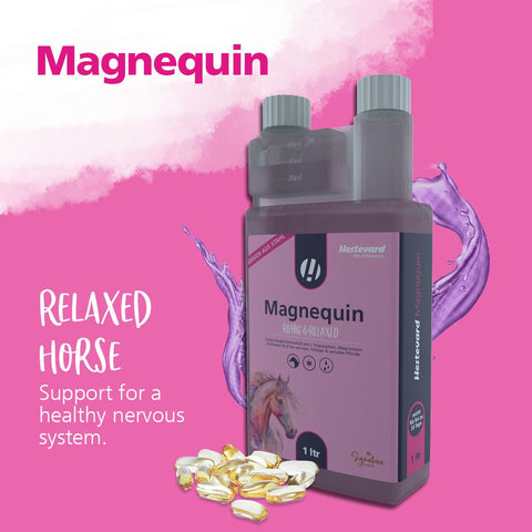 Magnequin - Hestevard UK