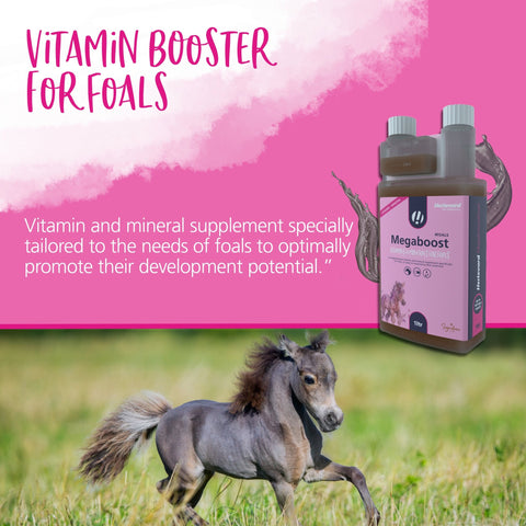 MegaBoost 4 Foals - Hestevard UK