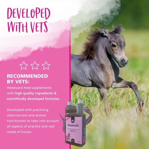 MegaBoost 4 Foals - Hestevard UK