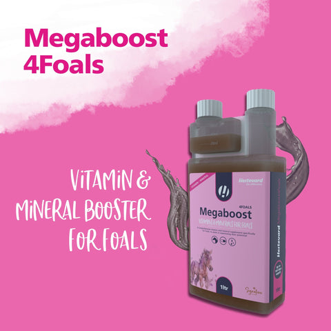 MegaBoost 4 Foals - Hestevard UK