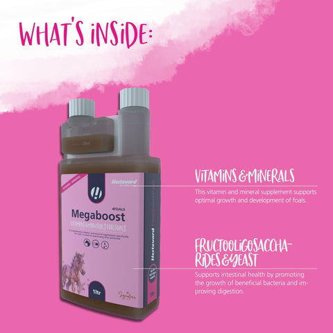 MegaBoost 4 Foals - Hestevard UK