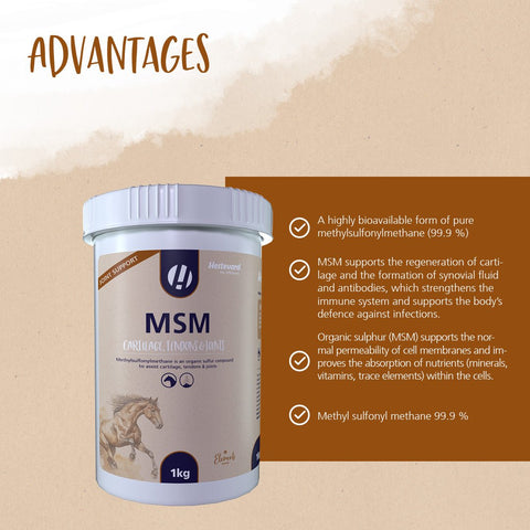 MSM - Hestevard UK