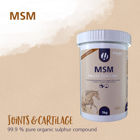MSM - Hestevard UK