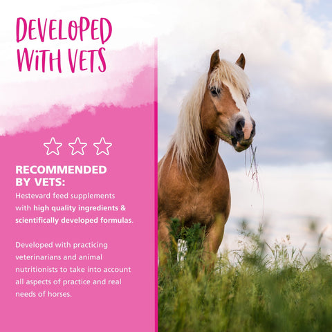 Multi - Vit - Hestevard UK